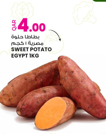 Sweet Potato from Egypt available at أنصار جاليري in قطر - الوكرة