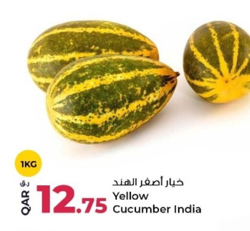 Cucumber from India available at روابي هايبرماركت in قطر - الوكرة