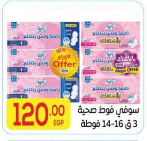 available at المحلاوي ماركت in Egypt - القاهرة