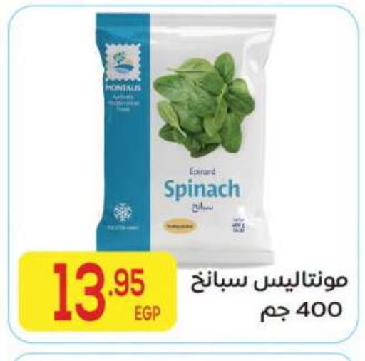 Spinach available at المحلاوي ماركت in Egypt - القاهرة