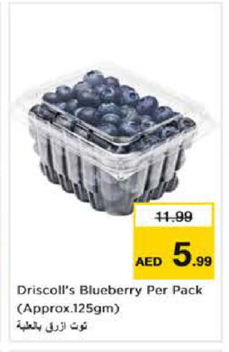 Blueberry BlueBerry available at نستو هايبرماركت in الإمارات العربية المتحدة , الامارات - أبو ظبي