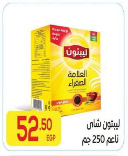 available at المحلاوي ماركت in Egypt - القاهرة