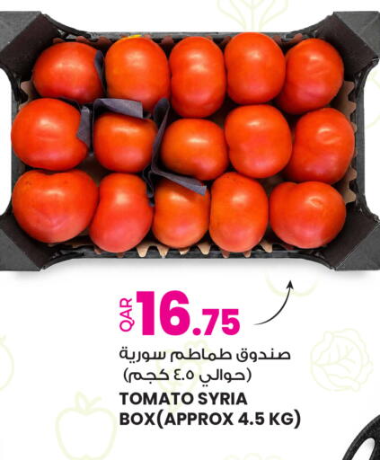 Tomato from Syria available at أنصار جاليري in قطر - الدوحة