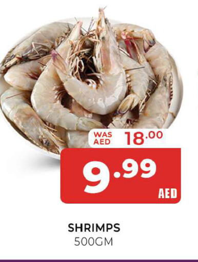 available at المدينة in الإمارات العربية المتحدة , الامارات - الشارقة / عجمان