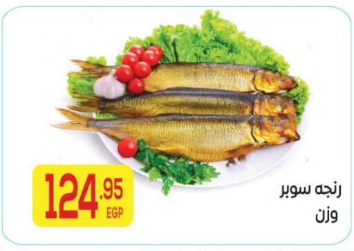 available at المحلاوي ماركت in Egypt - القاهرة