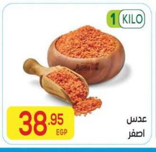 available at El Mahallawy Market  in Egypt - Cairo