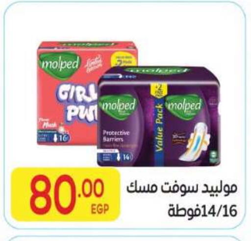 available at المحلاوي ماركت in Egypt - القاهرة