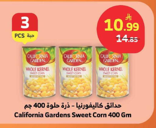 available at الراية in مملكة العربية السعودية, السعودية, سعودية - ينبع