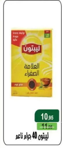 available at Mekkawy market  in Egypt - Cairo