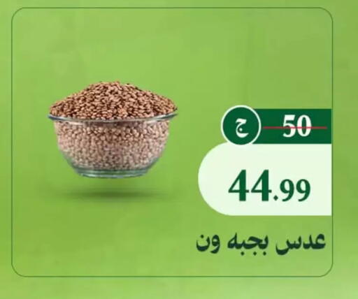 available at Al Duha Market in Egypt - Cairo