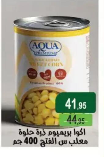 available at Mekkawy market  in Egypt - Cairo
