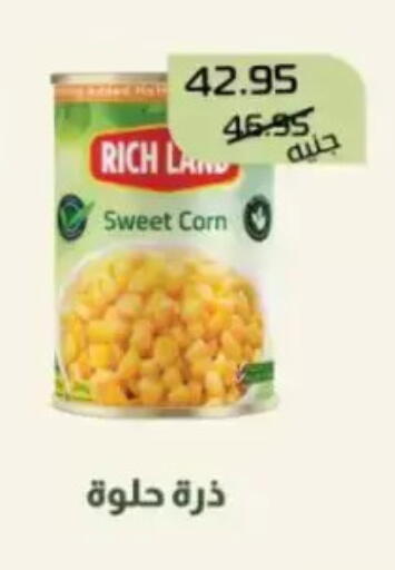 available at Mekkawy market  in Egypt - Cairo