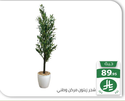 available at تخفيضات العائلة in مملكة العربية السعودية, السعودية, سعودية - الرياض