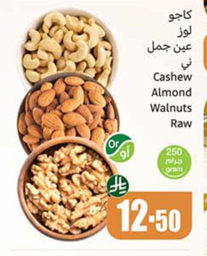 available at Othaim Markets in KSA, Saudi Arabia, Saudi - Dammam