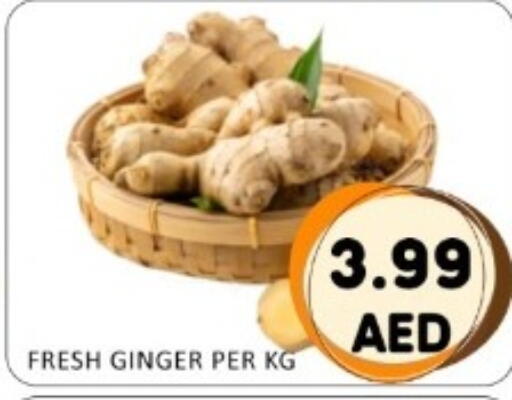 Ginger available at GREEN GIFT DEPARTMENT STORE in UAE - Abu Dhabi
