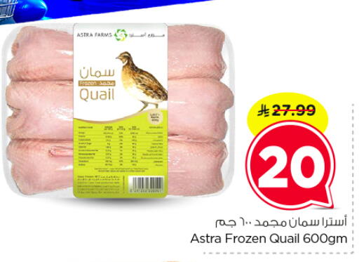 available at نستو in مملكة العربية السعودية, السعودية, سعودية - الرياض