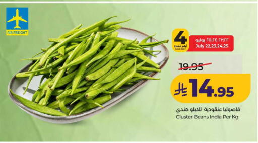 from India available at لولو هايبرماركت in مملكة العربية السعودية, السعودية, سعودية - عنيزة