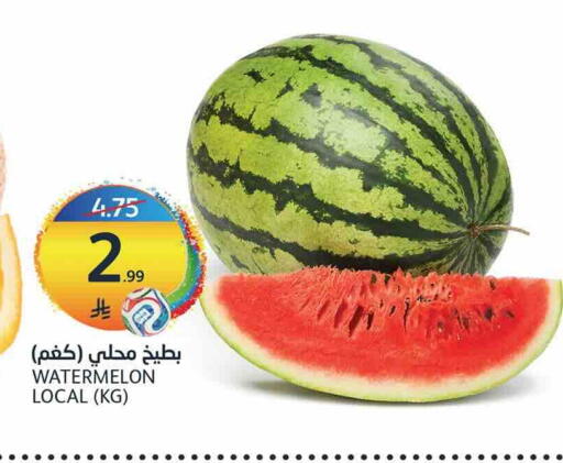 Watermelon available at أسواق الجزيرة in مملكة العربية السعودية, السعودية, سعودية - الرياض
