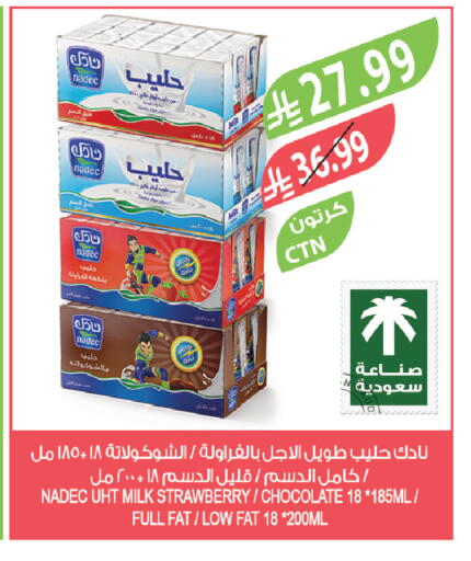 Strawberry available at المزرعة in مملكة العربية السعودية, السعودية, سعودية - الخرج