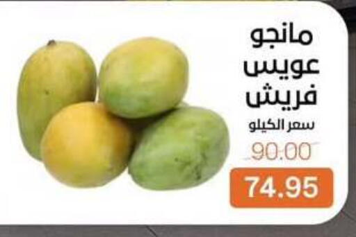 available at Beit El Gomla in Egypt - Cairo