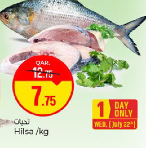 available at باريس هايبرماركت in قطر - الخور
