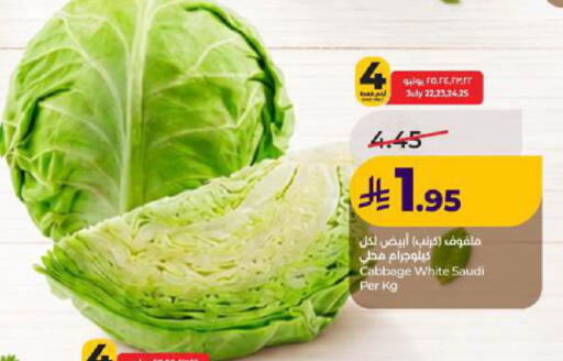 Cabbage from Saudi Arabia available at LULU Hypermarket in KSA, Saudi Arabia, Saudi - Dammam