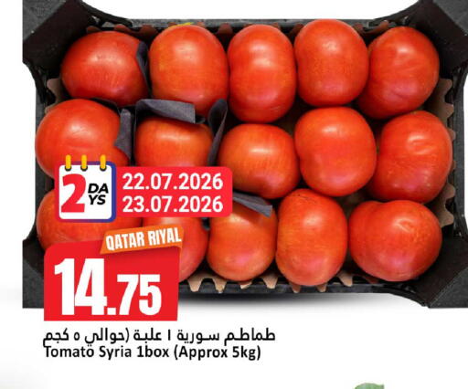 Tomato from Qatar Syria available at دانة هايبرماركت in قطر - الضعاين