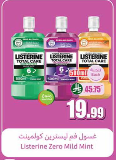 Mint available at Othaim Markets in KSA, Saudi Arabia, Saudi - Dammam