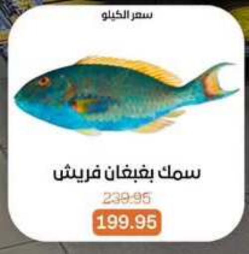 available at Beit El Gomla in Egypt - Cairo