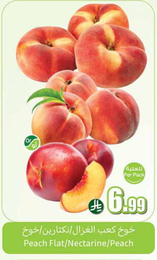 Peach Nectarine available at Othaim Markets in KSA, Saudi Arabia, Saudi - Al-Kharj