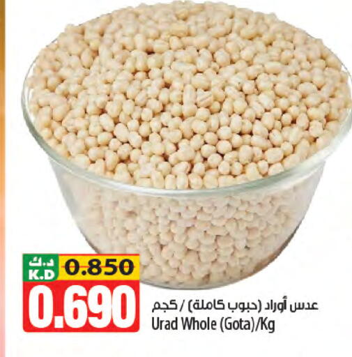 Mango available at Mango Hypermarket  in Kuwait - Kuwait City