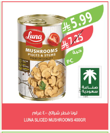 available at المزرعة in مملكة العربية السعودية, السعودية, سعودية - المنطقة الشرقية