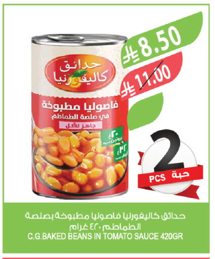 Tomato available at المزرعة in مملكة العربية السعودية, السعودية, سعودية - المنطقة الشرقية