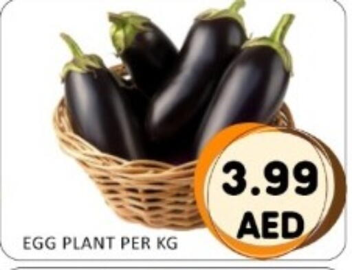 available at GREEN GIFT DEPARTMENT STORE in UAE - Abu Dhabi