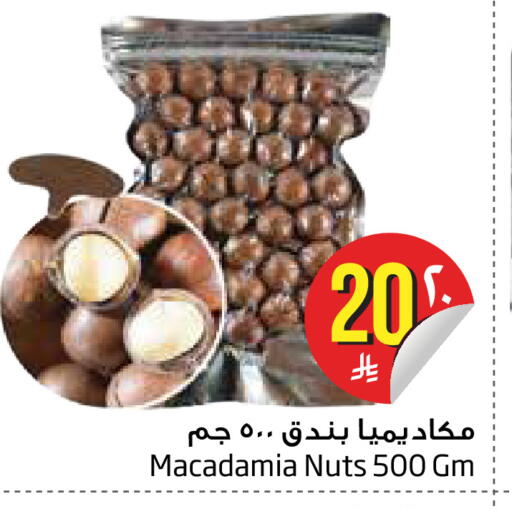 available at Layan Hyper in KSA, Saudi Arabia, Saudi - Dammam
