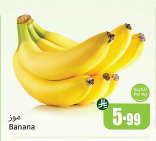 Banana available at أسواق عبد الله العثيم in مملكة العربية السعودية, السعودية, سعودية - المدينة المنورة