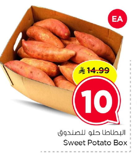 Sweet Potato available at نستو in مملكة العربية السعودية, السعودية, سعودية - المنطقة الشرقية