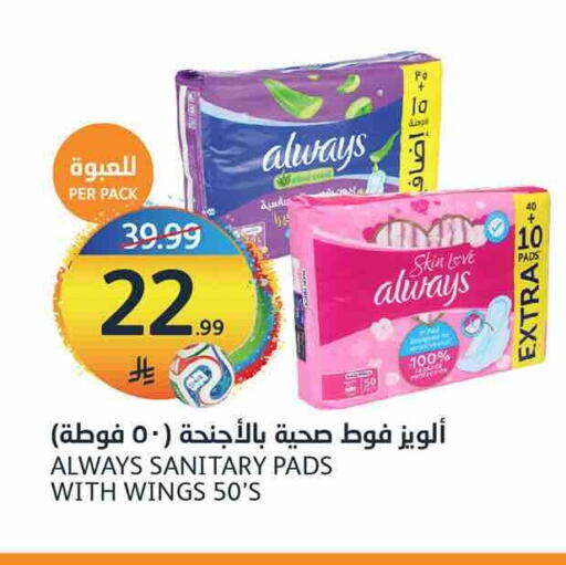 available at أسواق الجزيرة in مملكة العربية السعودية, السعودية, سعودية - الرياض