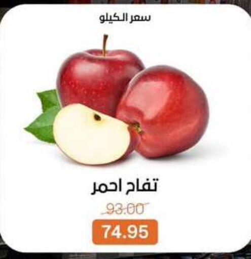 available at Beit El Gomla in Egypt - Cairo