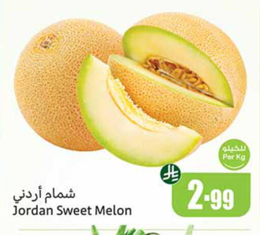 Melon from Jordan available at Othaim Markets in KSA, Saudi Arabia, Saudi - Dammam
