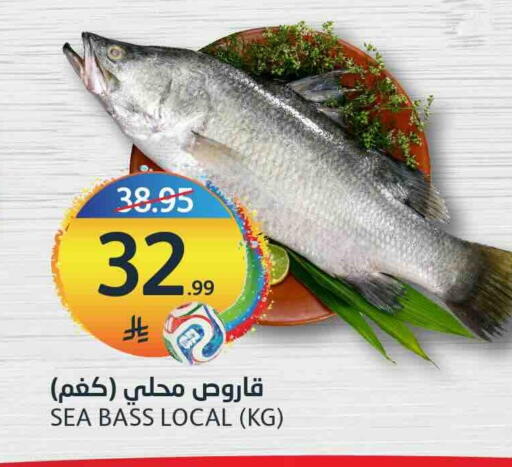 available at أسواق الجزيرة in مملكة العربية السعودية, السعودية, سعودية - الرياض
