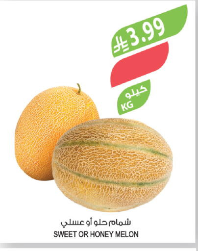 Melon available at Farm  in KSA, Saudi Arabia, Saudi - Dammam