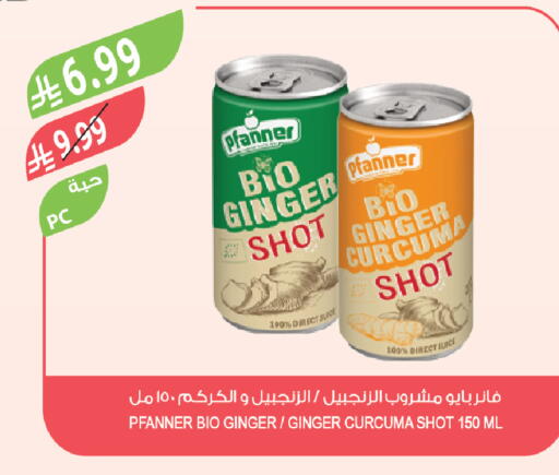 Ginger available at Farm  in KSA, Saudi Arabia, Saudi - Al-Kharj