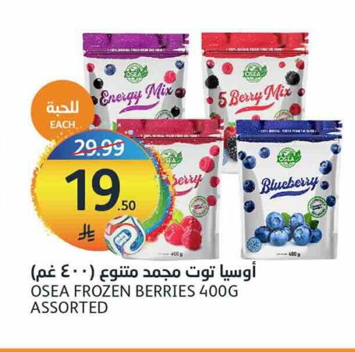 Blueberry BlueBerry available at أسواق الجزيرة in مملكة العربية السعودية, السعودية, سعودية - الرياض