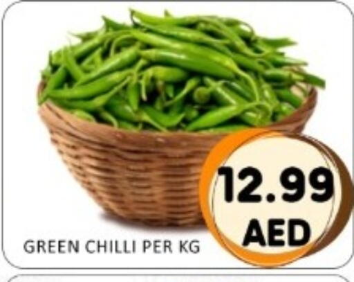 Green chilli available at GREEN GIFT DEPARTMENT STORE in UAE - Abu Dhabi