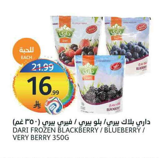 Blackberry Blueberry BlueBerry available at أسواق الجزيرة in مملكة العربية السعودية, السعودية, سعودية - الرياض