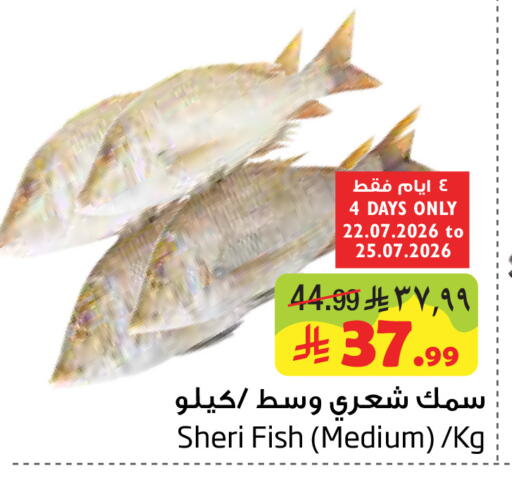 available at Layan Hyper in KSA, Saudi Arabia, Saudi - Dammam