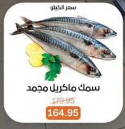 available at Beit El Gomla in Egypt - Cairo