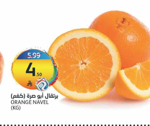 Orange available at أسواق الجزيرة in مملكة العربية السعودية, السعودية, سعودية - الرياض