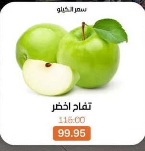 available at Beit El Gomla in Egypt - Cairo